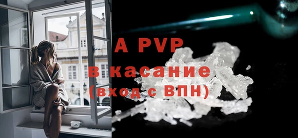 дурь Сатка