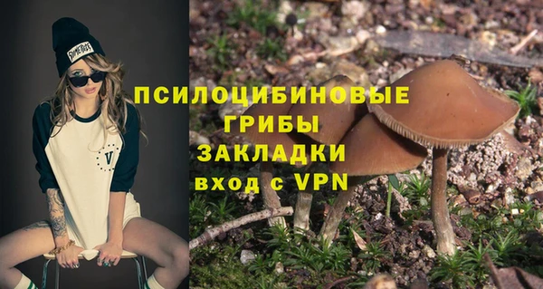 ешки Семилуки