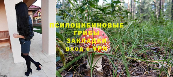ешки Семилуки