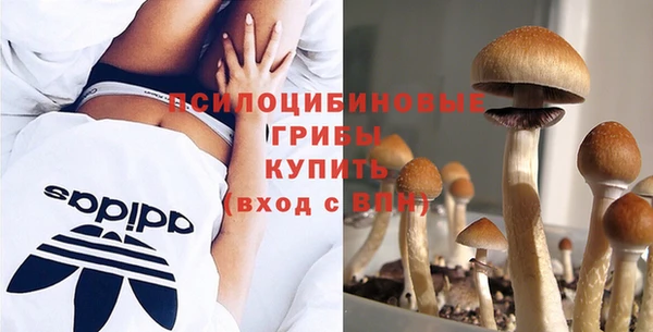 дурь Сатка