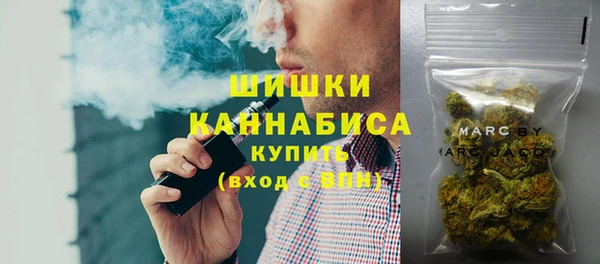 ешки Семилуки