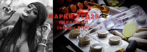 дурь Сатка