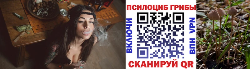 Купить где  Шелехов  Галлюциногенные грибы мухоморы 
